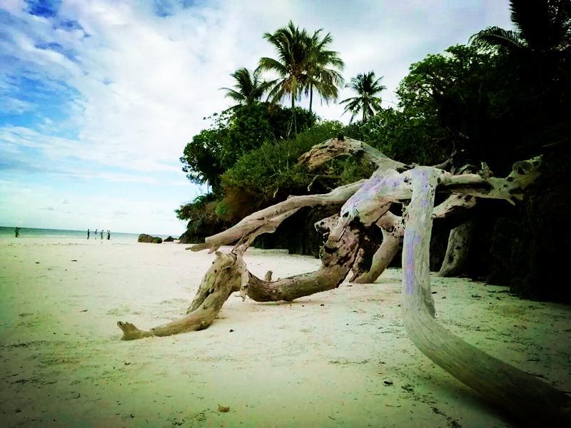 Diani Hostel Diani Beach Zewnętrze zdjęcie