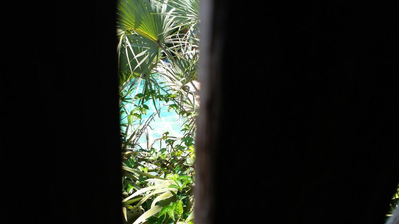 Diani Hostel Diani Beach Zewnętrze zdjęcie